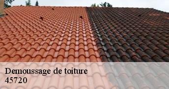 Demoussage de toiture  45720