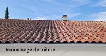 Demoussage de toiture  45720