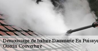 Demoussage de toiture  45420