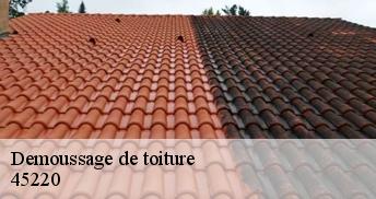 Demoussage de toiture  45220