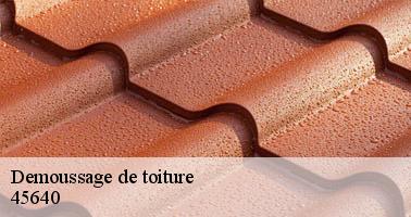 Demoussage de toiture  45640