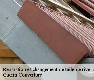 Réparation et changement de tuile de rive   adon-45230 Guerin Couverture