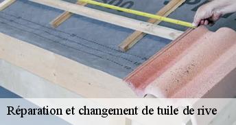 Réparation et changement de tuile de rive   45160