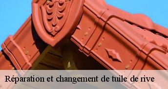 Réparation et changement de tuile de rive 