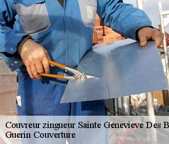 Couvreur zingueur  sainte-genevieve-des-bois-45230 Guerin Couverture