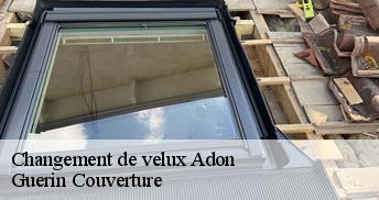 Changement de velux  45230