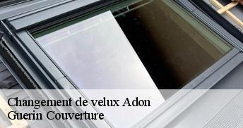 Changement de velux