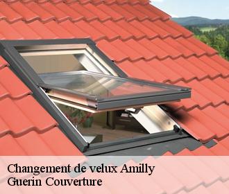 Changement de velux  amilly-45200 Guerin Couverture