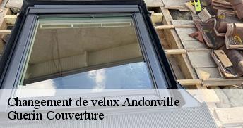 Changement de velux  45480