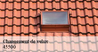 Changement de velux  45500