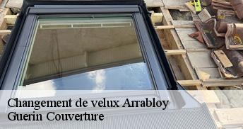 Changement de velux  45500