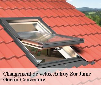 Changement de velux  autruy-sur-juine-45480 Guerin Couverture