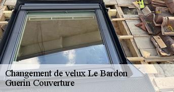 Changement de velux  45130