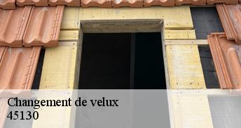 Changement de velux  45130