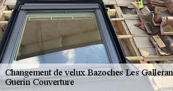 Changement de velux  45480