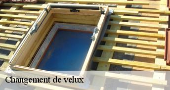 Changement de velux  45760