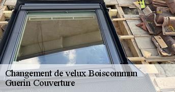 Changement de velux  45340