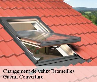 Changement de velux  bromeilles-45390 Guerin Couverture