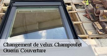 Changement de velux  45420