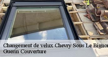 Changement de velux  45210