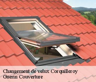 Changement de velux  corquilleroy-45120 Guerin Couverture