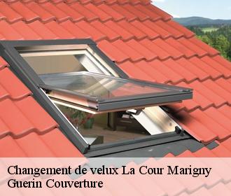 Changement de velux  la-cour-marigny-45260 Guerin Couverture