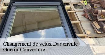 Changement de velux  45300