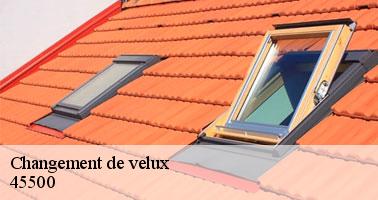 Changement de velux  45500