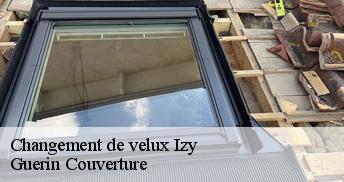 Changement de velux  45480