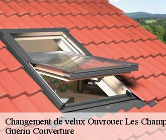 Changement de velux  ouvrouer-les-champs-45150 Guerin Couverture