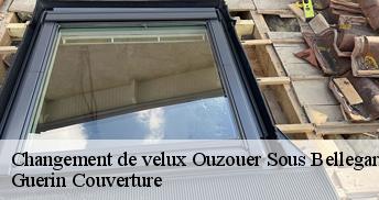 Changement de velux  45270