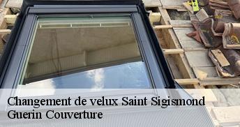 Changement de velux  45310