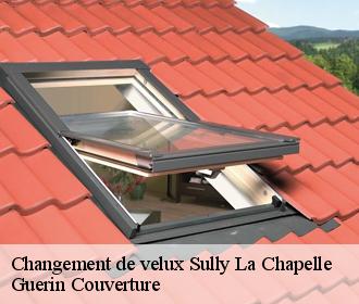 Changement de velux  sully-la-chapelle-45450 Guerin Couverture