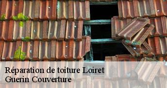 Réparation de toiture Loiret 