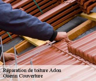 Réparation de toiture  adon-45230 Guerin Couverture