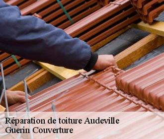 Réparation de toiture  audeville-45300 Guerin Couverture