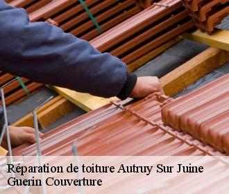 Réparation de toiture  autruy-sur-juine-45480 Guerin Couverture