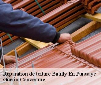 Réparation de toiture  batilly-en-puissaye-45420 Guerin Couverture