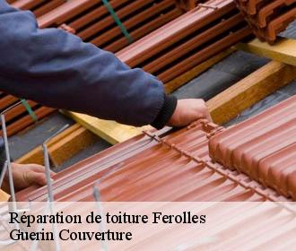 Réparation de toiture  ferolles-45150 Guerin Couverture