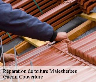 Réparation de toiture  malesherbes-45330 Guerin Couverture