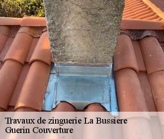 Travaux de zinguerie  la-bussiere-45230 Guerin Couverture