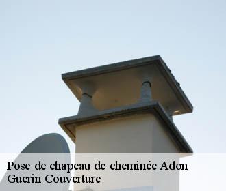 Pose de chapeau de cheminée  adon-45230 Guerin Couverture