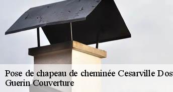 Pose de chapeau de cheminée